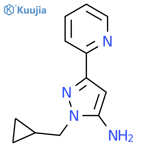 1-(cyclopropylmethyl)-3-(pyridin-2-yl)-1H-pyrazol-5-amine structure