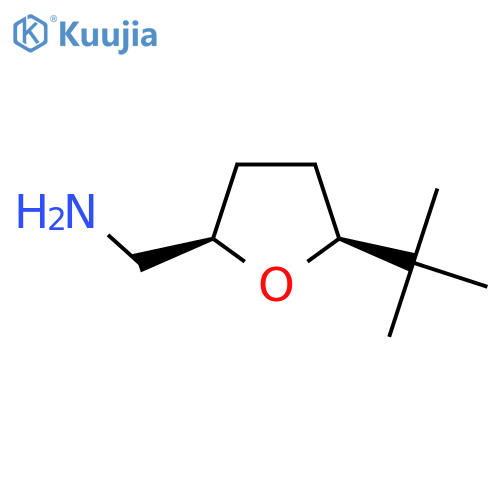 [(2R,5S)-5-tert-butyloxolan-2-yl]methanamine structure