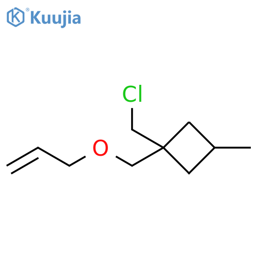 Cyclobutane, 1-(chloromethyl)-3-methyl-1-[(2-propen-1-yloxy)methyl]- structure