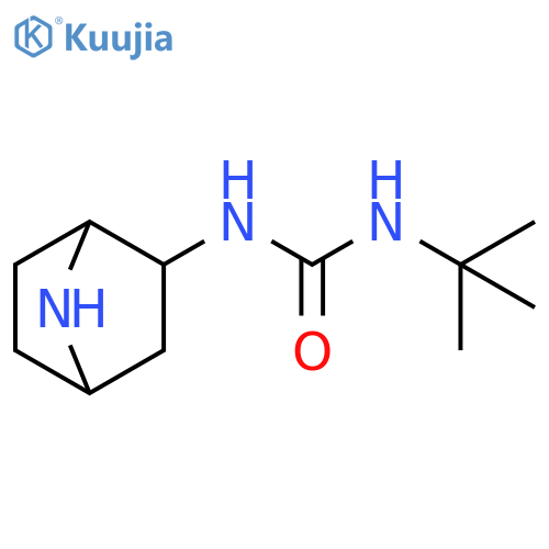 Urea, N-7-azabicyclo[2.2.1]hept-2-yl-N'-(1,1-dimethylethyl)- structure