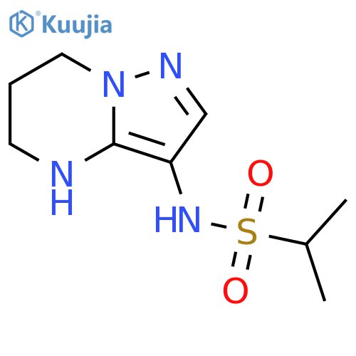 2-Propanesulfonamide, N-(4,5,6,7-tetrahydropyrazolo[1,5-a]pyrimidin-3-yl)- structure