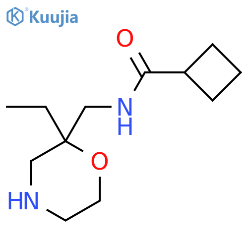 N-[(2-ethylmorpholin-2-yl)methyl]cyclobutanecarboxamide structure