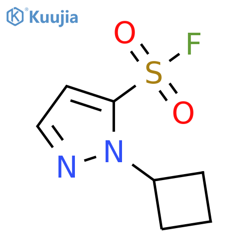 1H-Pyrazole-5-sulfonyl fluoride, 1-cyclobutyl- structure