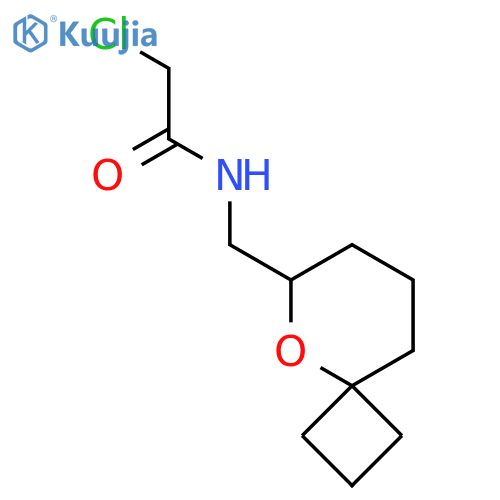 2-chloro-N-({5-oxaspiro[3.5]nonan-6-yl}methyl)acetamide structure