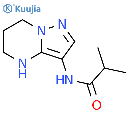 Propanamide, 2-methyl-N-(4,5,6,7-tetrahydropyrazolo[1,5-a]pyrimidin-3-yl)- structure