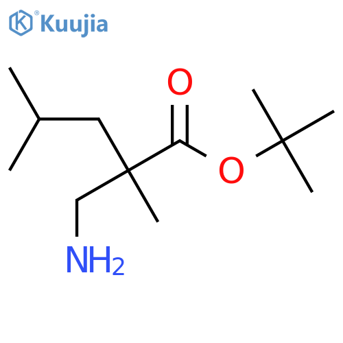 Tert-butyl 2-(aminomethyl)-2,4-dimethylpentanoate structure