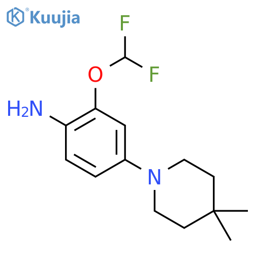 2-(Difluoromethoxy)-4-(4,4-dimethylpiperidin-1-yl)aniline structure