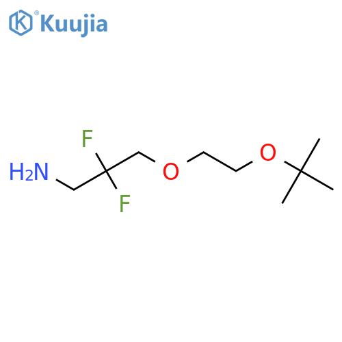 2,2-Difluoro-3-[2-[(2-methylpropan-2-yl)oxy]ethoxy]propan-1-amine structure
