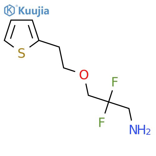 2,2-Difluoro-3-[2-(thiophen-2-yl)ethoxy]propan-1-amine structure