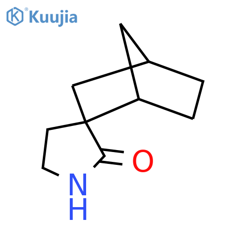 spirobicyclo2.2.1heptane-2,3'-pyrrolidine-2'-one structure