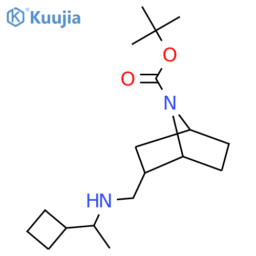 tert-butyl 2-{(1-cyclobutylethyl)aminomethyl}-7-azabicyclo2.2.1heptane-7-carboxylate structure