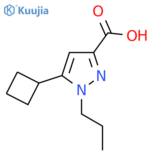 5-cyclobutyl-1-propyl-1H-pyrazole-3-carboxylic acid structure
