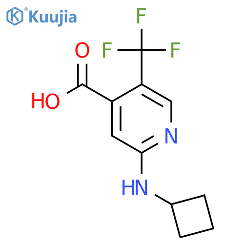 2-(Cyclobutylamino)-5-(trifluoromethyl)pyridine-4-carboxylic acid structure