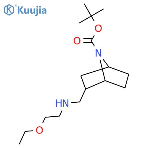 tert-butyl 2-{(2-ethoxyethyl)aminomethyl}-7-azabicyclo2.2.1heptane-7-carboxylate structure