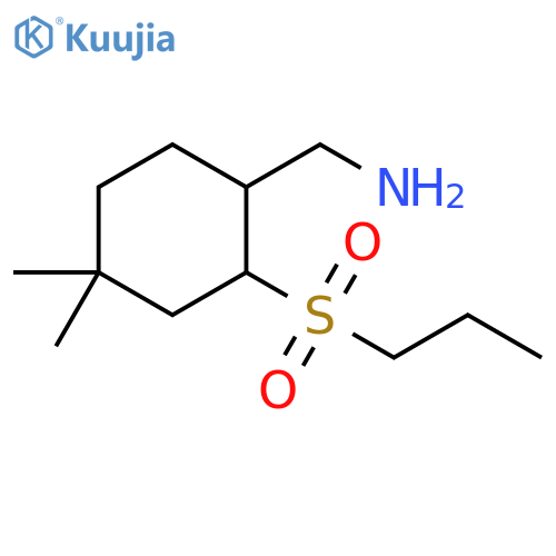 Cyclohexanemethanamine, 4,4-dimethyl-2-(propylsulfonyl)- structure