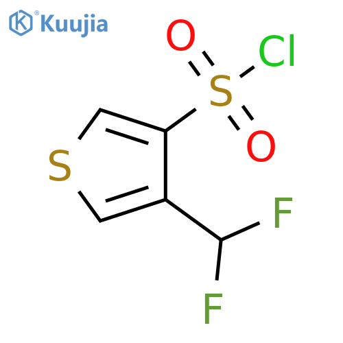 4-(difluoromethyl)thiophene-3-sulfonyl chloride structure
