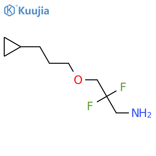 3-(3-Cyclopropylpropoxy)-2,2-difluoropropan-1-amine structure