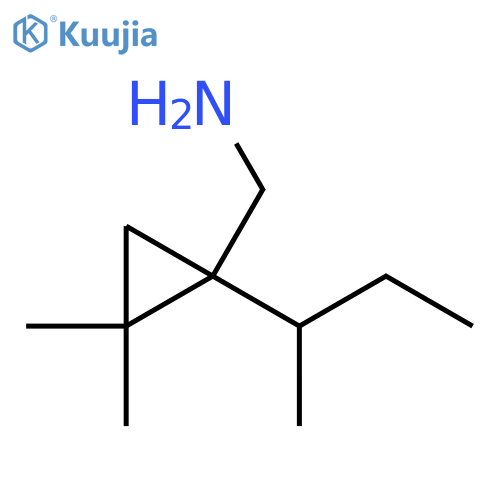 1-(butan-2-yl)-2,2-dimethylcyclopropylmethanamine structure