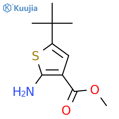 Methyl 2-amino-5-tert-butylthiophene-3-carboxylate structure