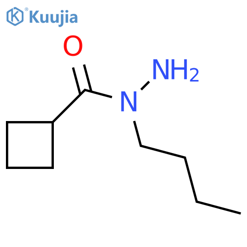 N-butylcyclobutanecarbohydrazide structure