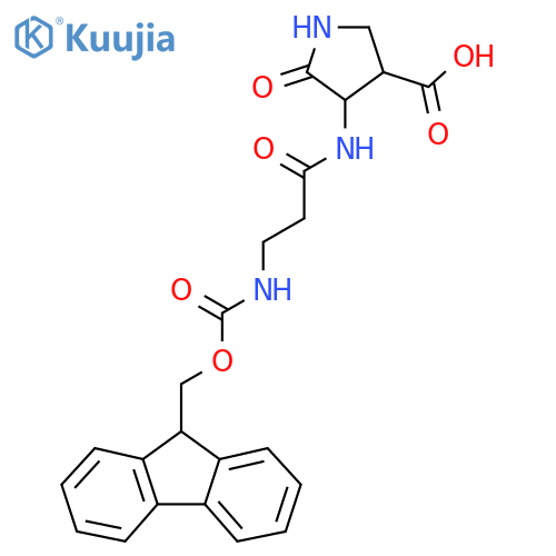 4-3-({(9H-fluoren-9-yl)methoxycarbonyl}amino)propanamido-5-oxopyrrolidine-3-carboxylic acid structure
