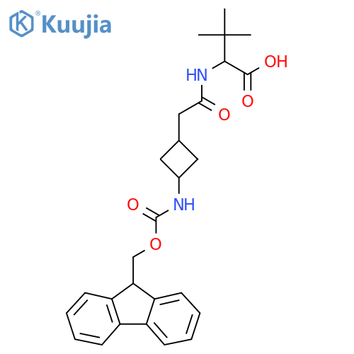 2-{2-3-({(9H-fluoren-9-yl)methoxycarbonyl}amino)cyclobutylacetamido}-3,3-dimethylbutanoic acid structure