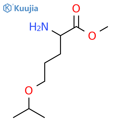 methyl 2-amino-5-(propan-2-yloxy)pentanoate structure
