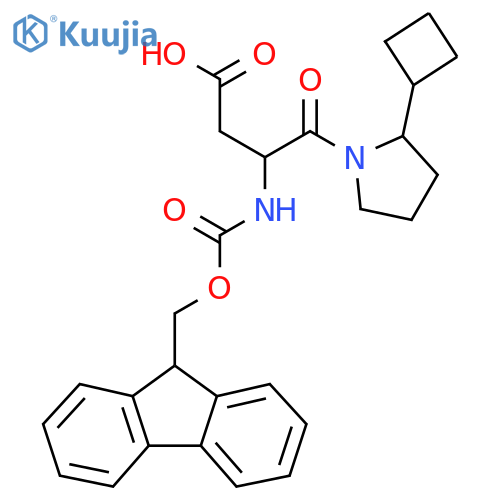 4-(2-cyclobutylpyrrolidin-1-yl)-3-({(9H-fluoren-9-yl)methoxycarbonyl}amino)-4-oxobutanoic acid structure