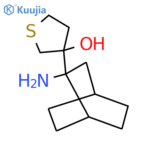 3-{2-aminobicyclo2.2.2octan-2-yl}thiolan-3-ol structure