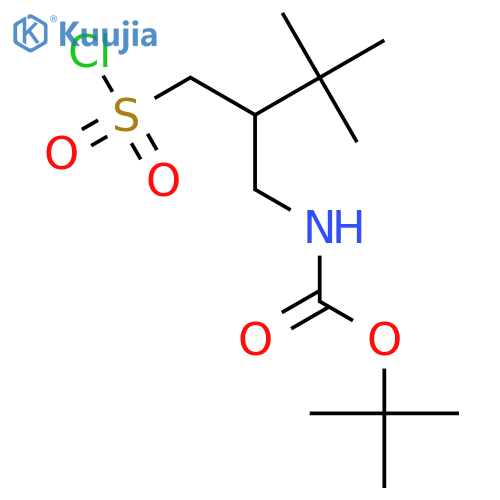 tert-butyl N-2-tert-butyl-3-(chlorosulfonyl)propylcarbamate structure