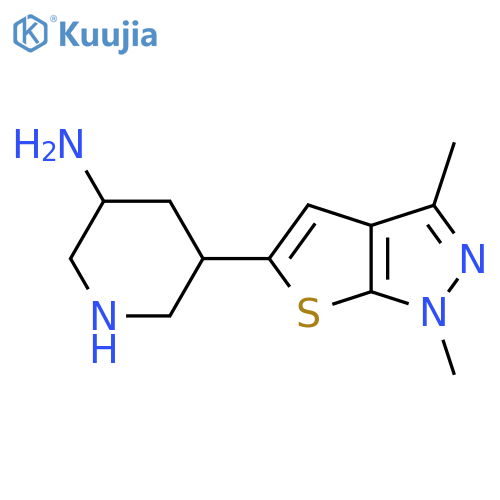 5-{1,3-dimethyl-1H-thieno2,3-cpyrazol-5-yl}piperidin-3-amine structure