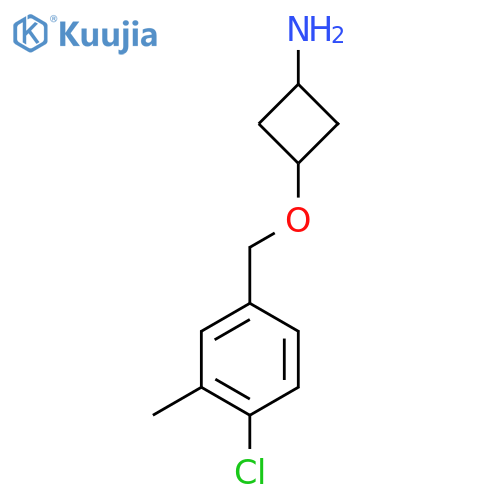 3-(4-chloro-3-methylphenyl)methoxycyclobutan-1-amine structure