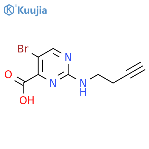 5-bromo-2-(but-3-yn-1-yl)aminopyrimidine-4-carboxylic acid structure