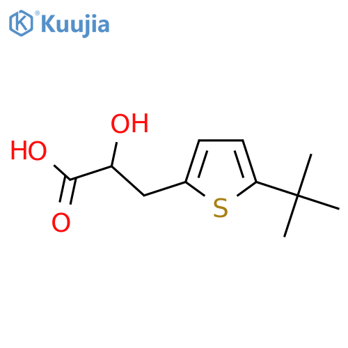 3-(5-tert-butylthiophen-2-yl)-2-hydroxypropanoic acid structure