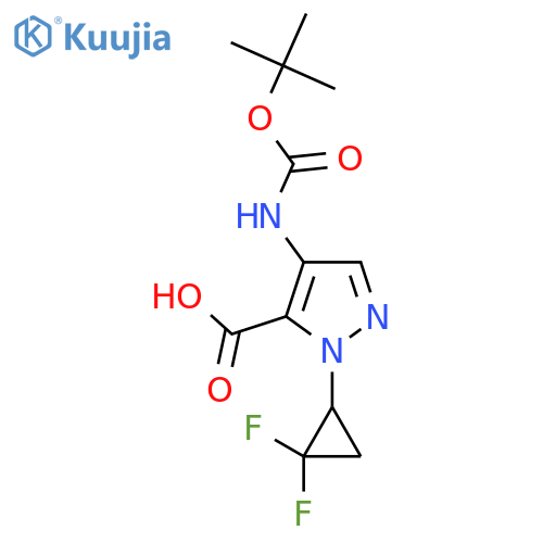 4-{(tert-butoxy)carbonylamino}-1-(2,2-difluorocyclopropyl)-1H-pyrazole-5-carboxylic acid structure