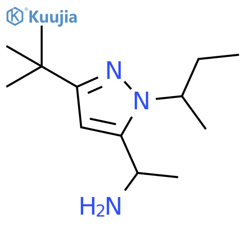 1-1-(butan-2-yl)-3-tert-butyl-1H-pyrazol-5-ylethan-1-amine structure