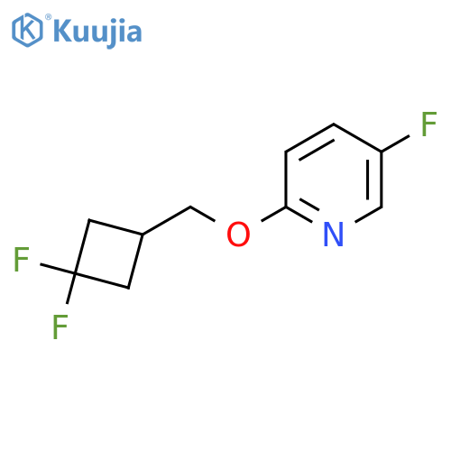 2-[(3,3-Difluorocyclobutyl)methoxy]-5-fluoropyridine structure