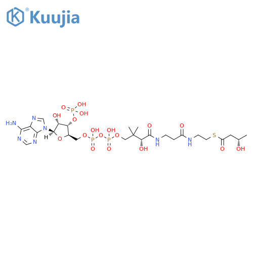 Coenzyme A, S-[(3S)-3-hydroxybutanoate] structure