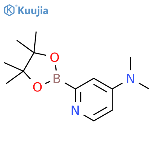 4-Dimethylaminopyridine-2-boronic acid pinacol ester structure