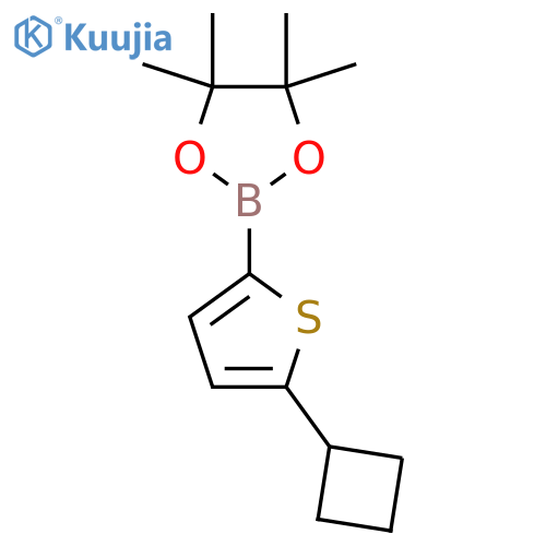2-(5-Cyclobutylthiophen-2-yl)-4,4,5,5-tetramethyl-1,3,2-dioxaborolane structure
