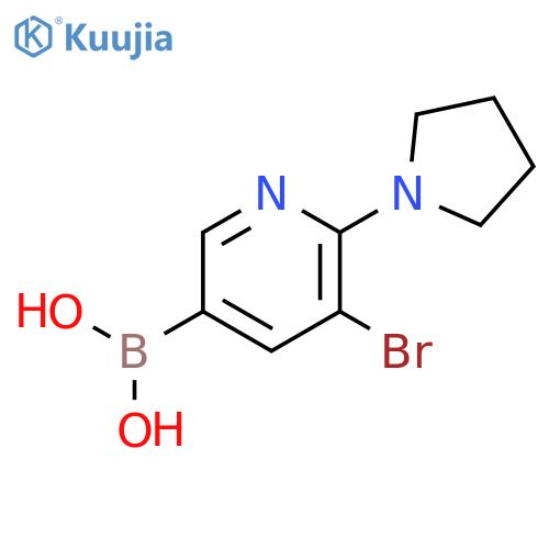 5-Bromo-6-(pyrrolidino)pyridine-3-boronic acid structure