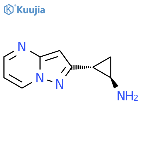 rac-(1R,2R)-2-{pyrazolo1,5-apyrimidin-2-yl}cyclopropan-1-amine structure