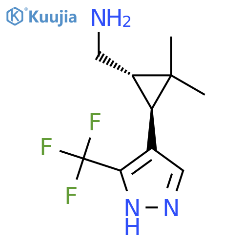 rac-(1R,3R)-2,2-dimethyl-3-3-(trifluoromethyl)-1H-pyrazol-4-ylcyclopropylmethanamine structure