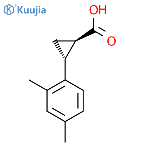 rac-(1R,2R)-2-(2,4-dimethylphenyl)cyclopropane-1-carboxylic acid structure
