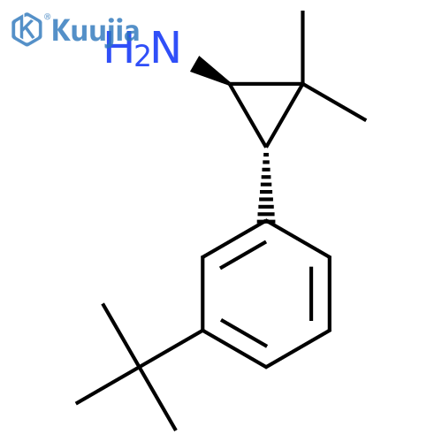 rac-(1R,3S)-3-(3-tert-butylphenyl)-2,2-dimethylcyclopropan-1-amine structure