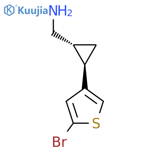rac-(1R,2R)-2-(5-bromothiophen-3-yl)cyclopropylmethanamine structure