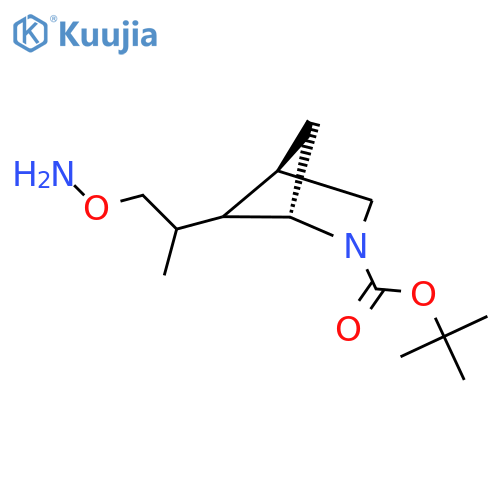 tert-butyl (1S,4R)-5-1-(aminooxy)propan-2-yl-2-azabicyclo2.1.1hexane-2-carboxylate structure