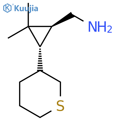 rac-(1R,3S)-2,2-dimethyl-3-(thian-3-yl)cyclopropylmethanamine structure