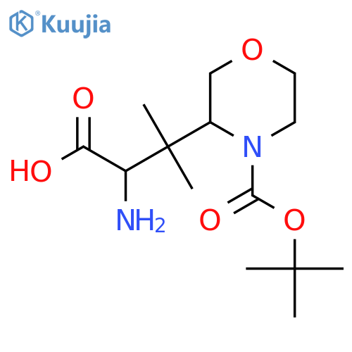 2-amino-3-{4-(tert-butoxy)carbonylmorpholin-3-yl}-3-methylbutanoic acid structure