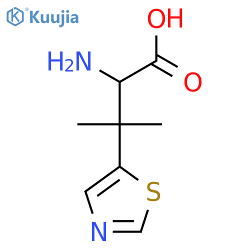 2-amino-3-methyl-3-(1,3-thiazol-5-yl)butanoic acid structure